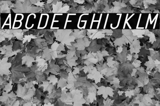 Linguineve Regular Italic Font examples