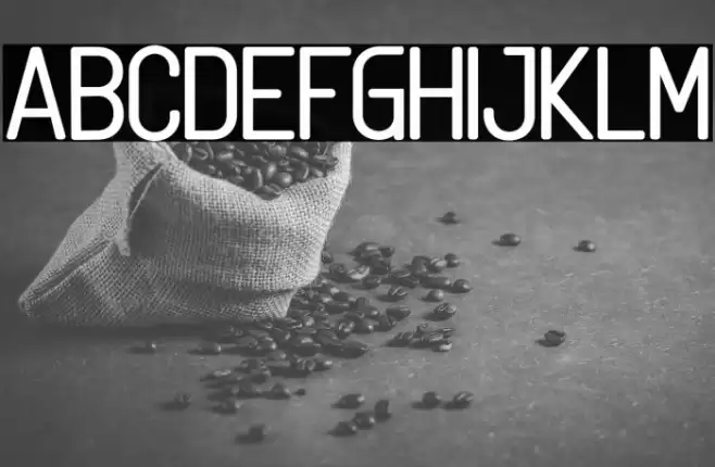 Linguineve Schriftart examples