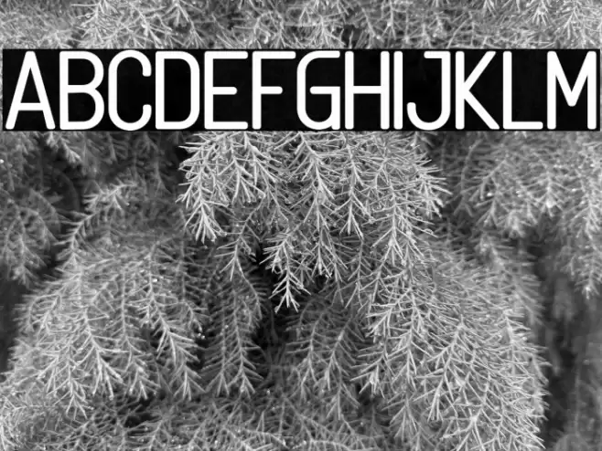 Linguineve Schriftart examples