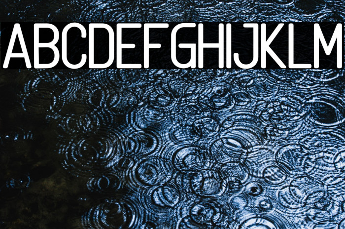 Linguineve Example 1