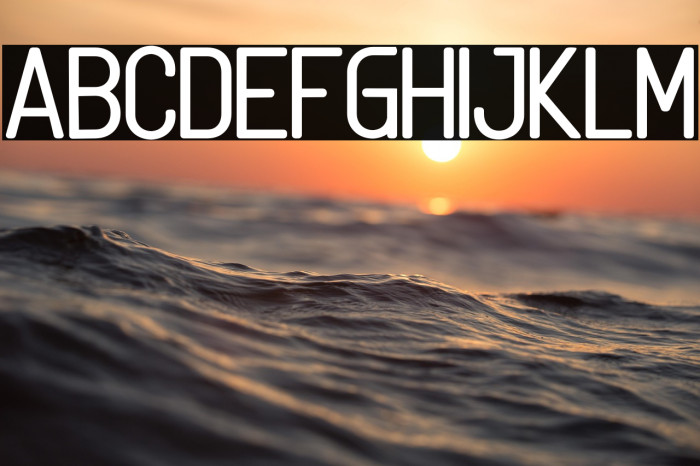 Linguineve Example 2