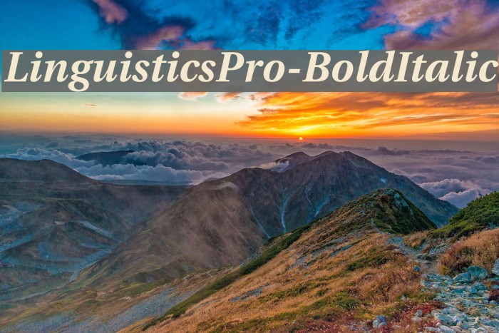 LinguisticsPro-BoldItalic Fuentes examples
