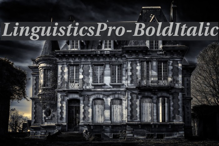 LinguisticsPro-BoldItalic Fuentes examples