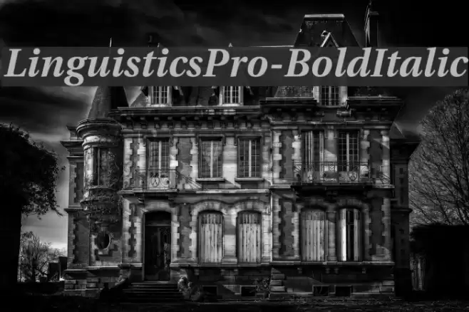 LinguisticsPro-BoldItalic Font examples