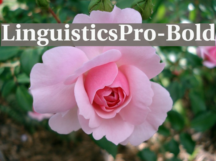 LinguisticsPro-Bold Font examples