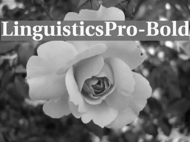 LinguisticsPro-Bold Fonte examples
