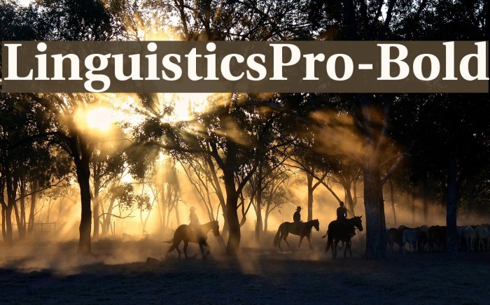 LinguisticsPro-Bold Font examples
