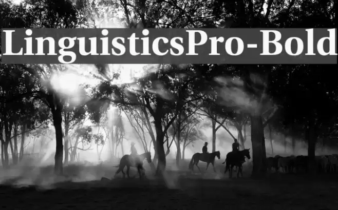 LinguisticsPro-Bold Fonte examples