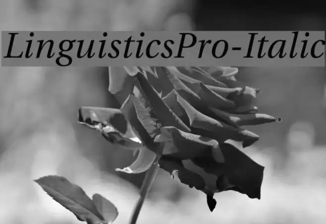 LinguisticsPro-Italic Font examples