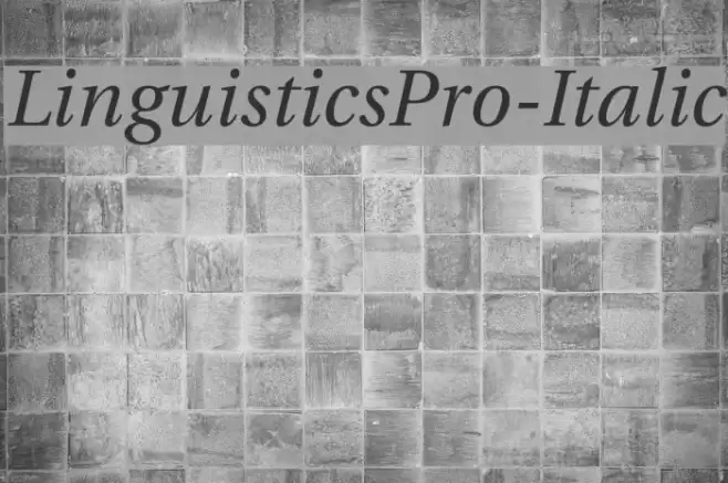 LinguisticsPro-Italic Font examples