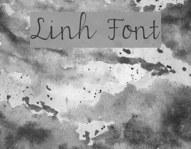 Linh Example 2
