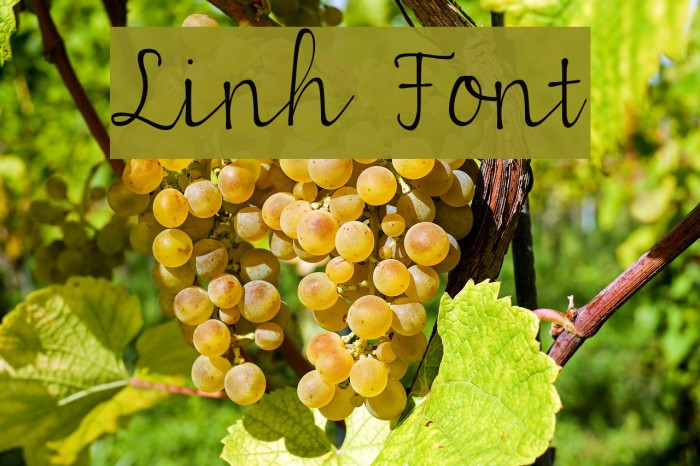 Linh Font examples