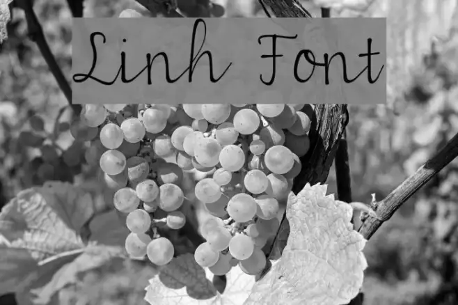 Linh Example 3