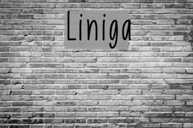 Liniga Font examples