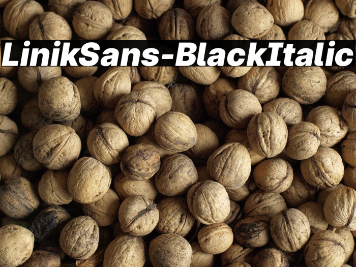 LinikSans-BlackItalic Example 1