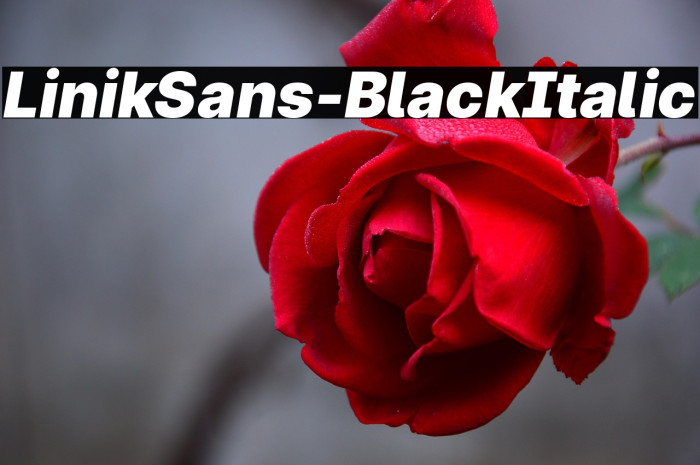 LinikSans-BlackItalic Example 2