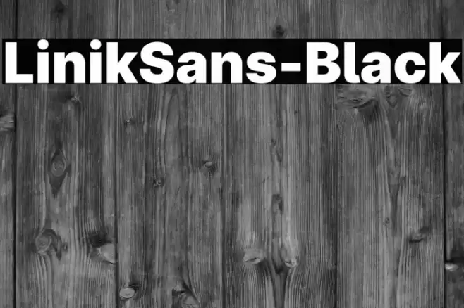 LinikSans-Black Font examples