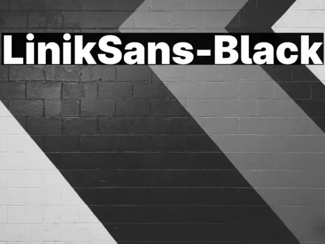 LinikSans-Black Font examples