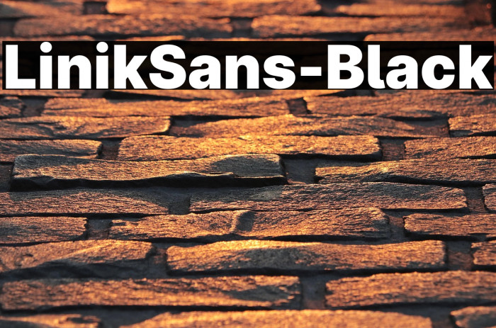 LinikSans-Black Example 3