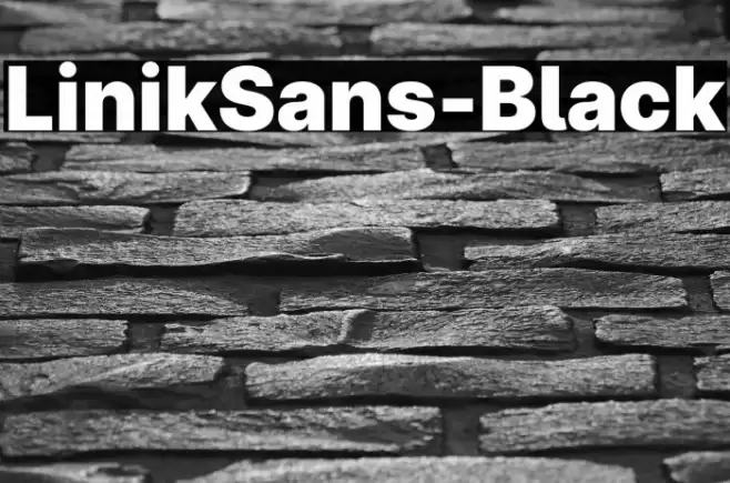 LinikSans-Black Font examples