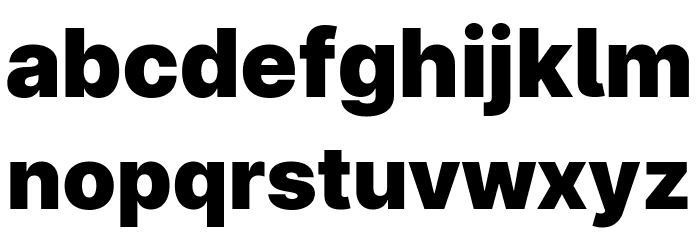 LinikSans-Black Font LOWERCASE