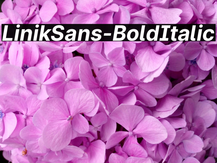 LinikSans-BoldItalic Example 1