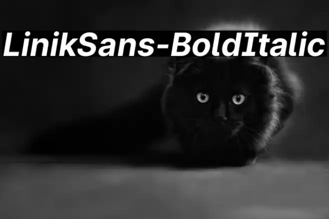 LinikSans-BoldItalic Font examples