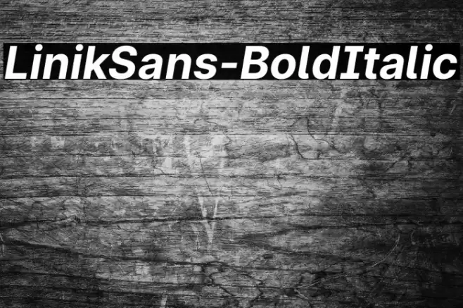LinikSans-BoldItalic Font examples