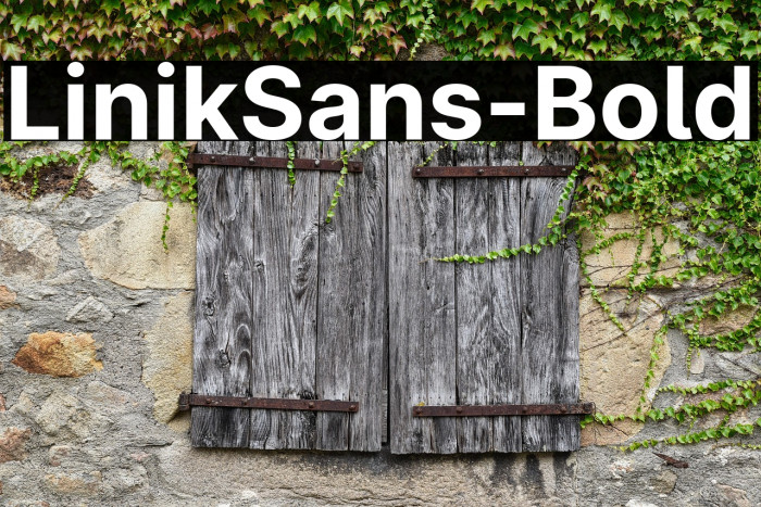 LinikSans-Bold Example 1