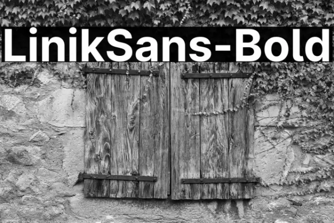LinikSans-Bold Font examples