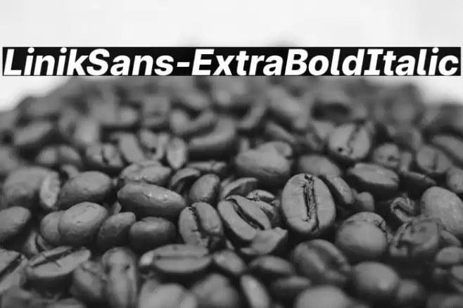 LinikSans-ExtraBoldItalic Font examples