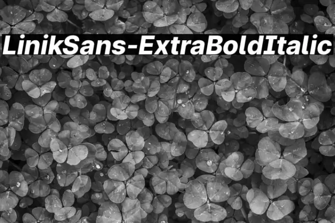 LinikSans-ExtraBoldItalic Font examples