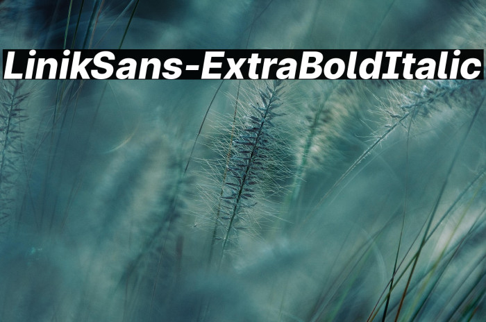 LinikSans-ExtraBoldItalic Example 3