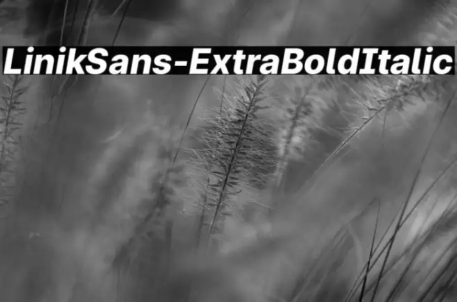 LinikSans-ExtraBoldItalic Font examples