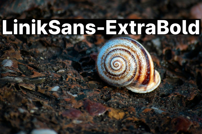 LinikSans-ExtraBold Example 3
