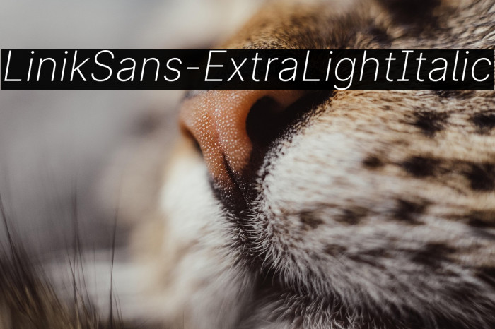 LinikSans-ExtraLightItalic Example 1