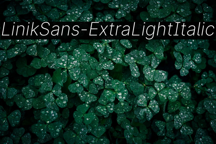 LinikSans-ExtraLightItalic Example 3