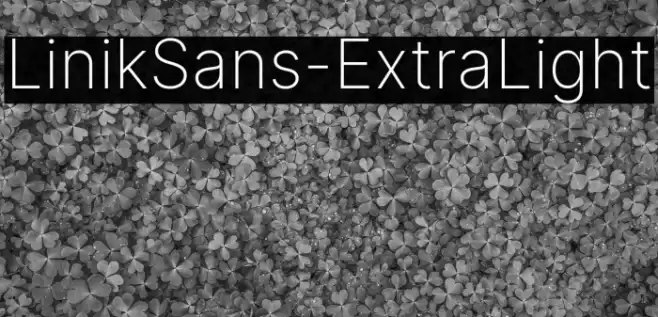 LinikSans-ExtraLight Font examples