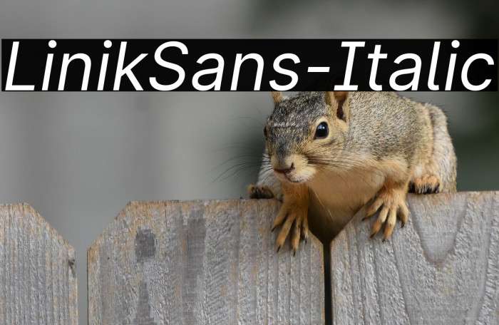 LinikSans-Italic Example 1
