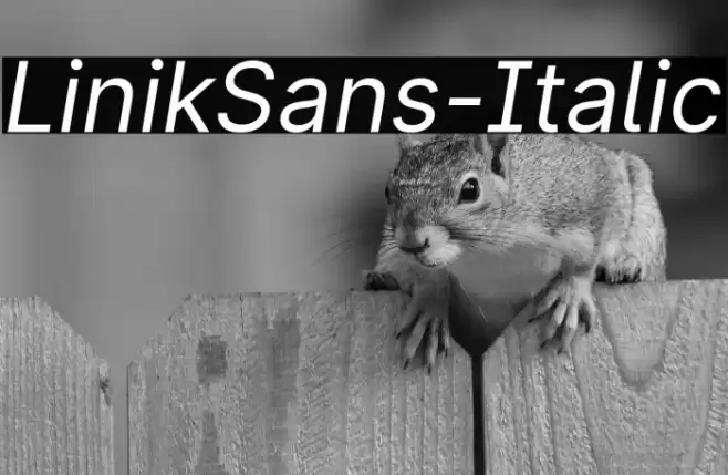 LinikSans-Italic Font examples