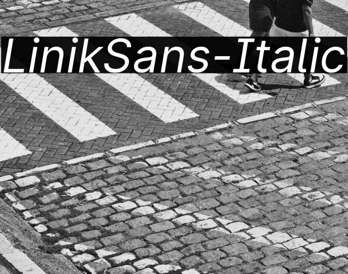 LinikSans-Italic Example 2