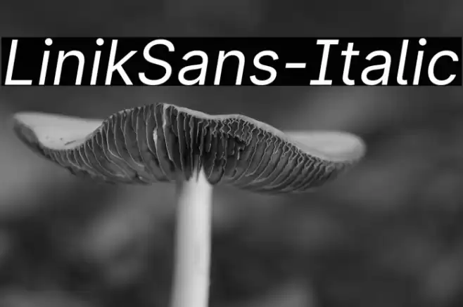 LinikSans-Italic Font examples