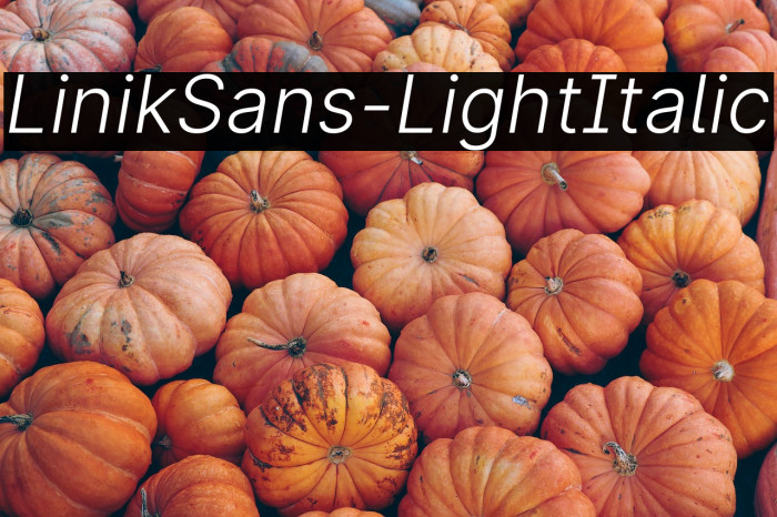 LinikSans-LightItalic Example 1