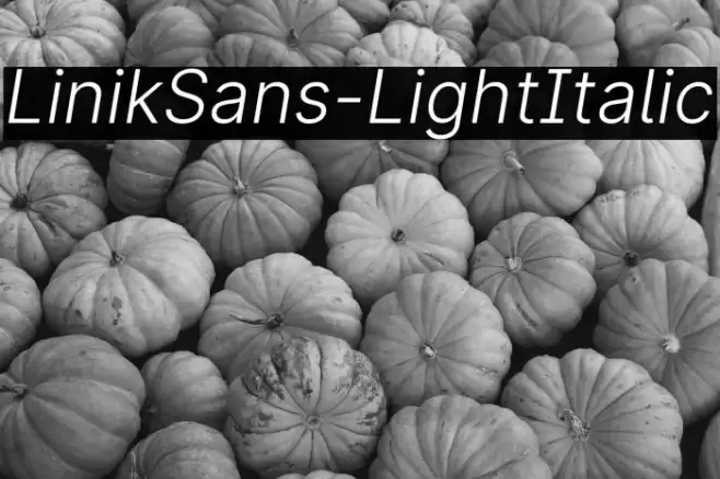 LinikSans-LightItalic Font examples