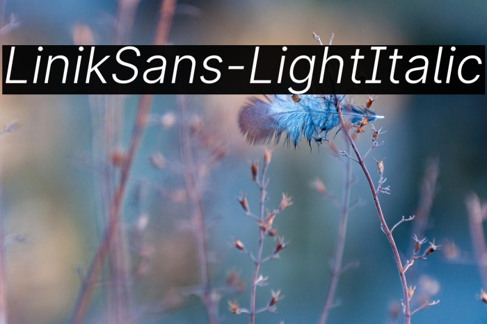 LinikSans-LightItalic Example 2