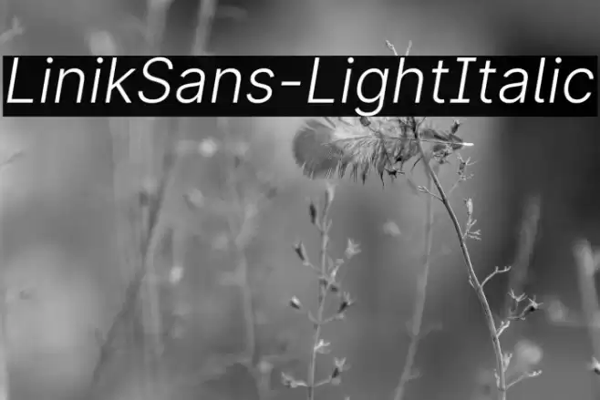 LinikSans-LightItalic Font examples