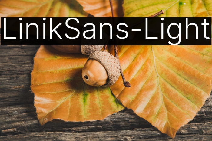 LinikSans-Light Example 3