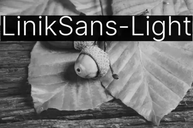 LinikSans-Light Font examples