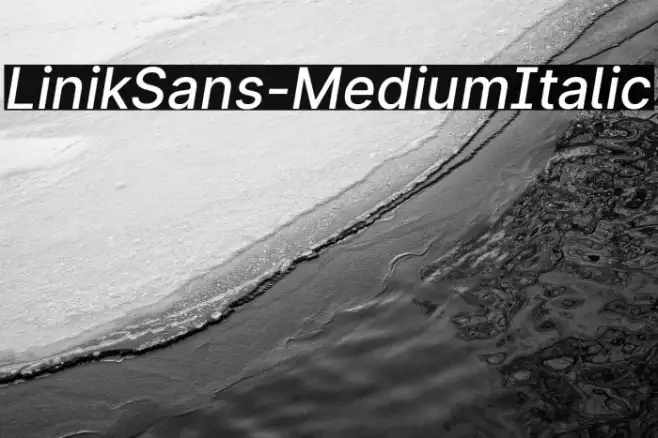 LinikSans-MediumItalic Example 1