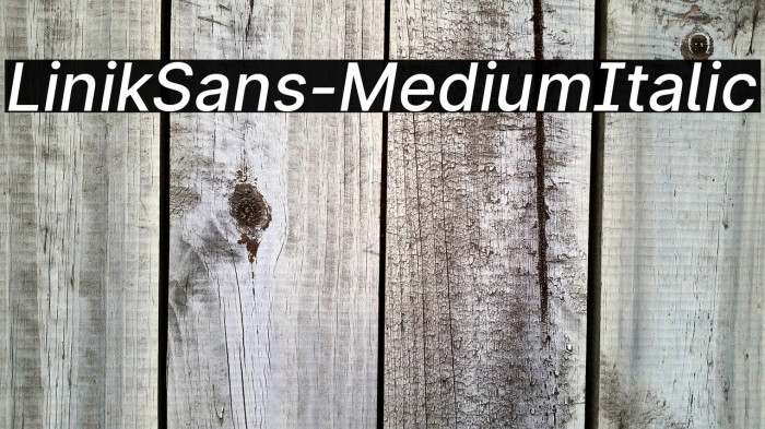 LinikSans-MediumItalic Example 3